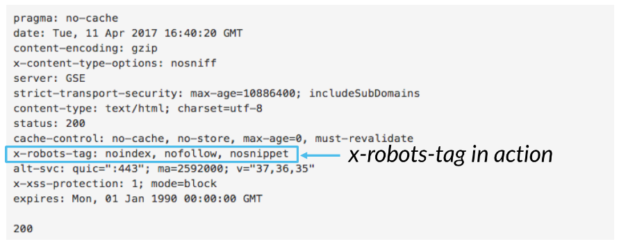 11-x-robots-tag-example