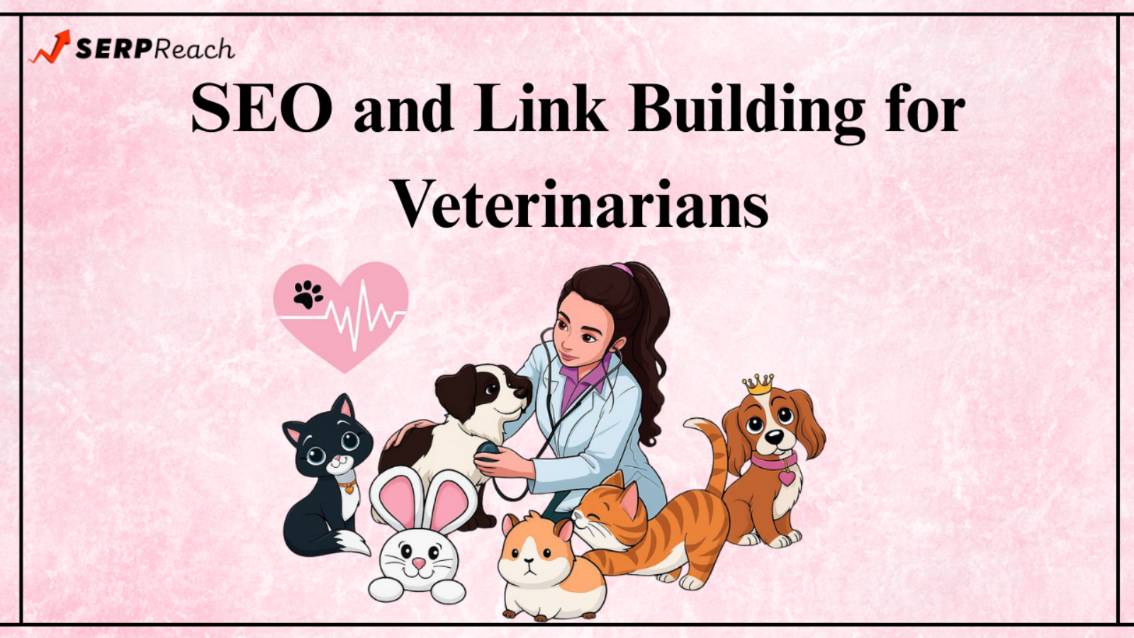 SEO and Link Building for Veterinarians: What You Must Know