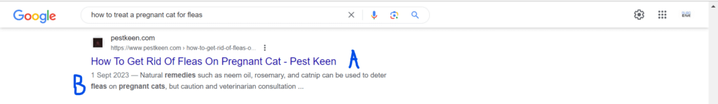 15-understanding-html-elements-on-serps