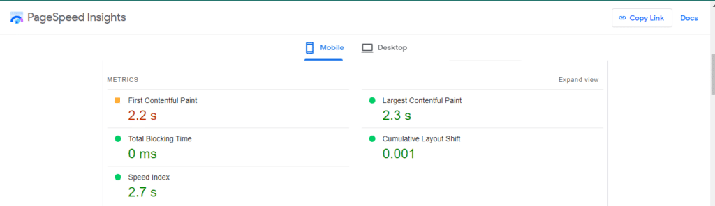 6-pagespeed-insights-result