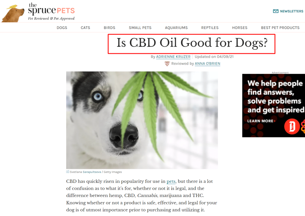 Potential Niche Edit Website